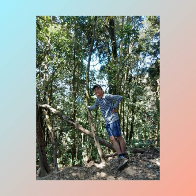 muhammadfaaizelabraary