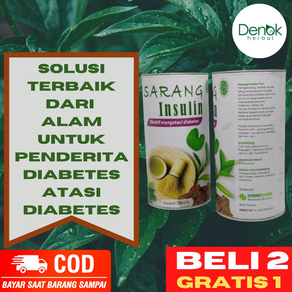 

Obat Diabetes Herbal Melitus Gula Darah Kesemutan Ampuh Teh Sarang Insulin