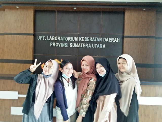 Tanaman Peperomia Semangka