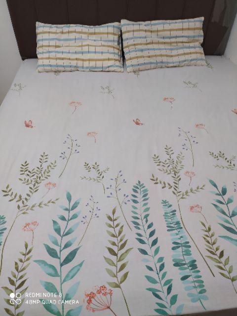 Sprei Karet Keliling Katun Magenta