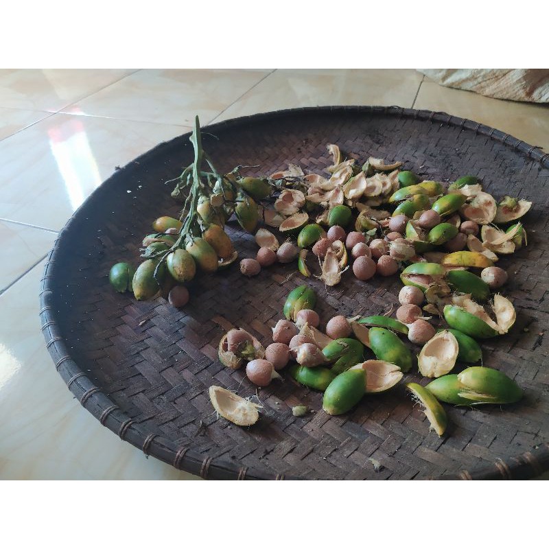 

Biji Pinang tua super 1kg