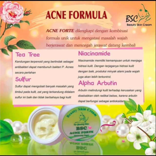 Cream malam Acne BSC