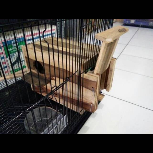 Glodok Kaca Ternak Lovebird