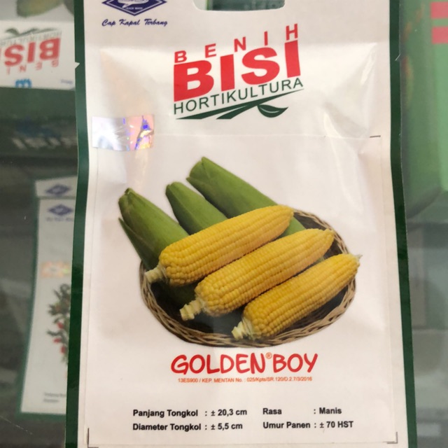 Benih Jagung Manis Golden Boy