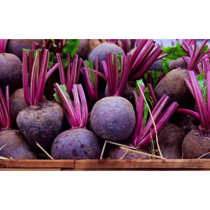 

Buah Bit 500 gram | FREE minimal belanja 69rb CEK DESKRIPSI