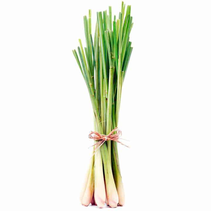 SEREH BUBUK MURNI 100 GR LEMONGRASS GROUND - CITRONELLA POWDER - SERAI