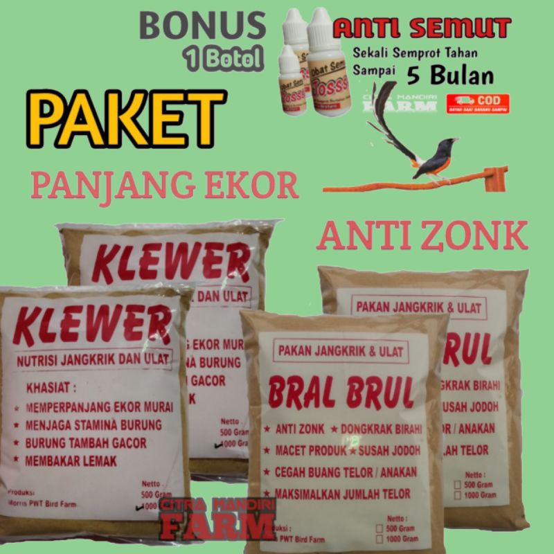 PAKET ANTI ZONK & PANJANG EKOR BURUNG MURAI BATU
