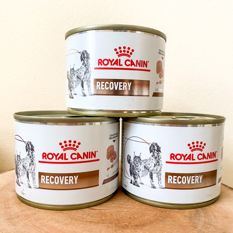 royal canin recovery cat   dog 195gr  kaleng  wet food