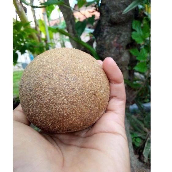 

D-UET> ✓> buah kawis 1kg ( isi 2-4 buah) ✮✮✮✮✮>