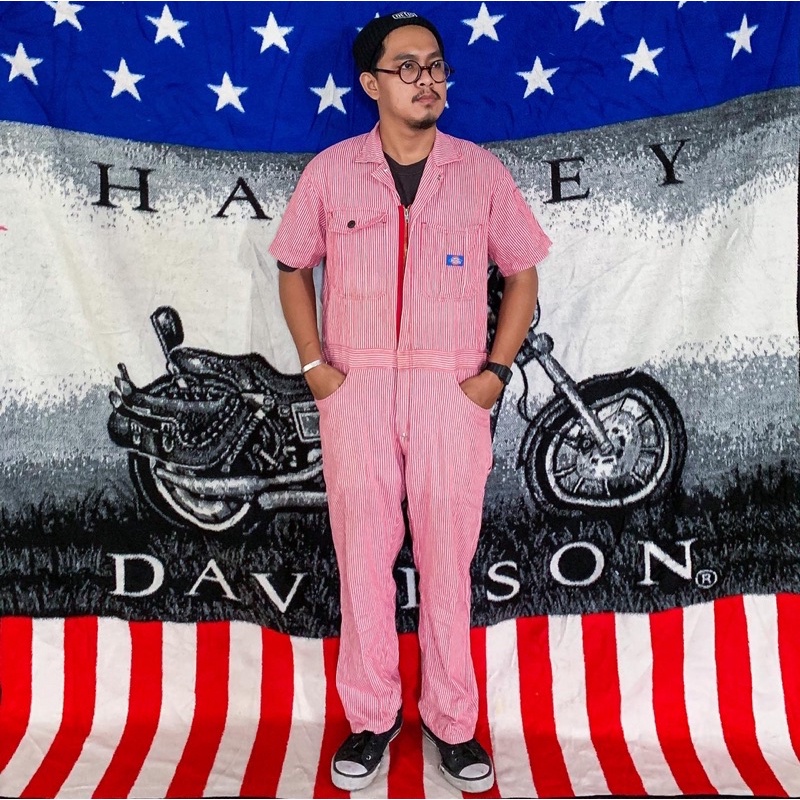 Rare Dickies Coverall / Wearpack SS Pink Hickory