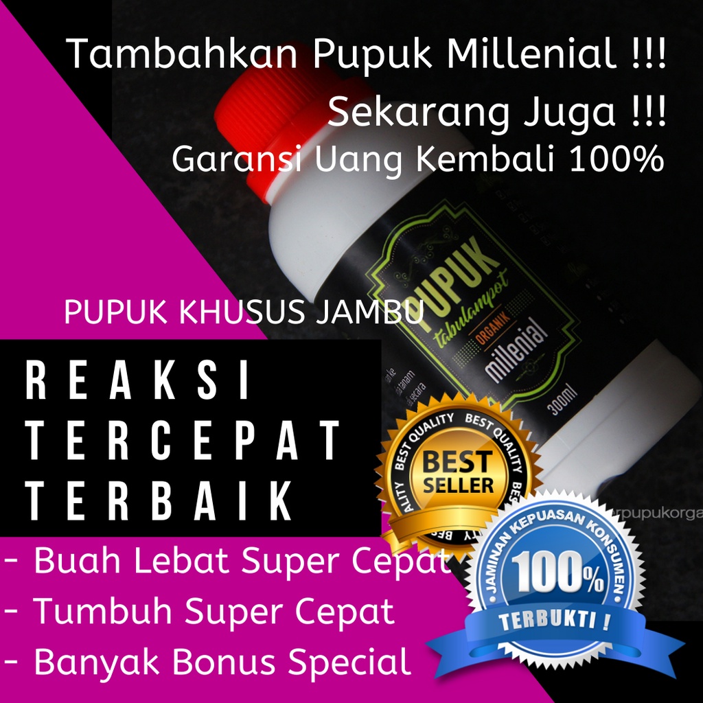 Pupuk Jambu Jamaika, Pupuk Jambu Bol Jamaika, Pupuk Untuk Jambu Bol Jamaika,Pupuk Agar Jambu Jamaika