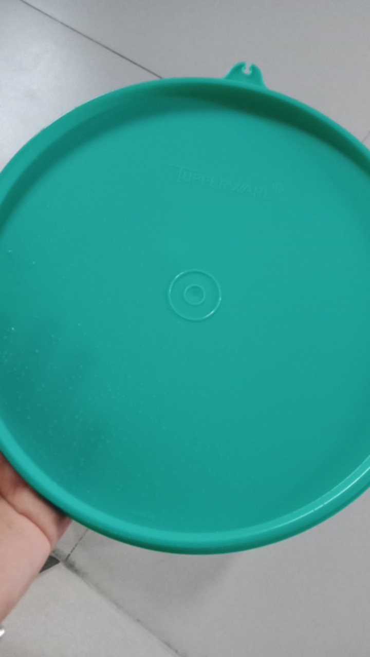 Seal Giant Canister (1)