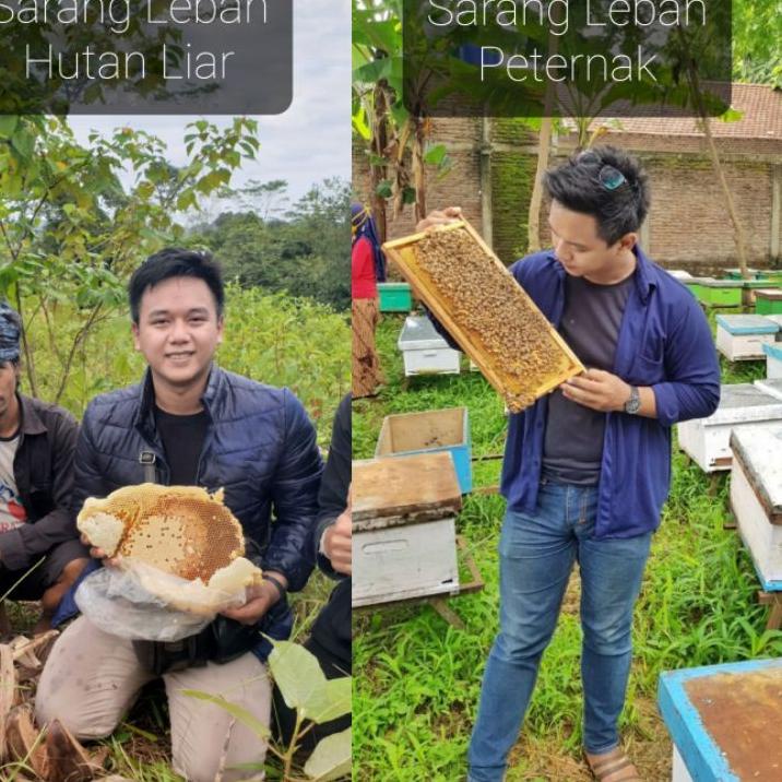 

(PROMO MCL96) Supplier Madu Sumbawa Asli Ukuran 500 Gram - Madu Odeng- Madu Sialang Riau - Agen dan Reseller Masuk ✱