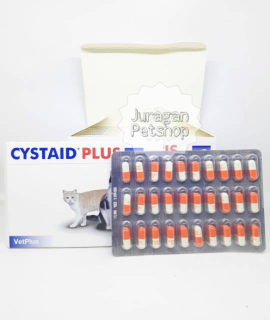 CYSTAID PLUS ( 1 CAPSULE) | Obat Penyakit Kemih Kucing/Anjing | Original Cystaid