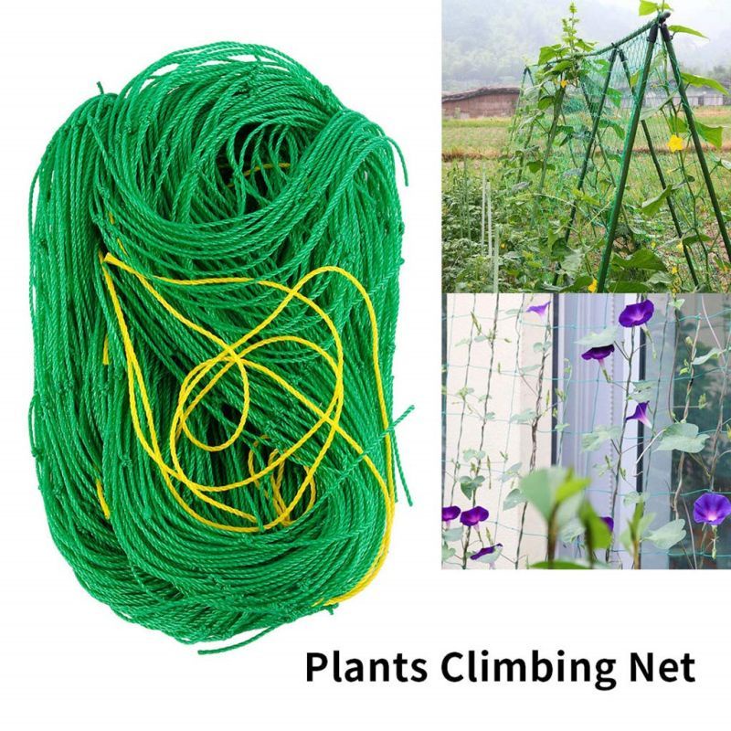 1.8*3.6m Jaring Rambatan Tanaman Buah Sayuran/Buah Plant Climbing Net/Jaring Tanaman Buah Tomat