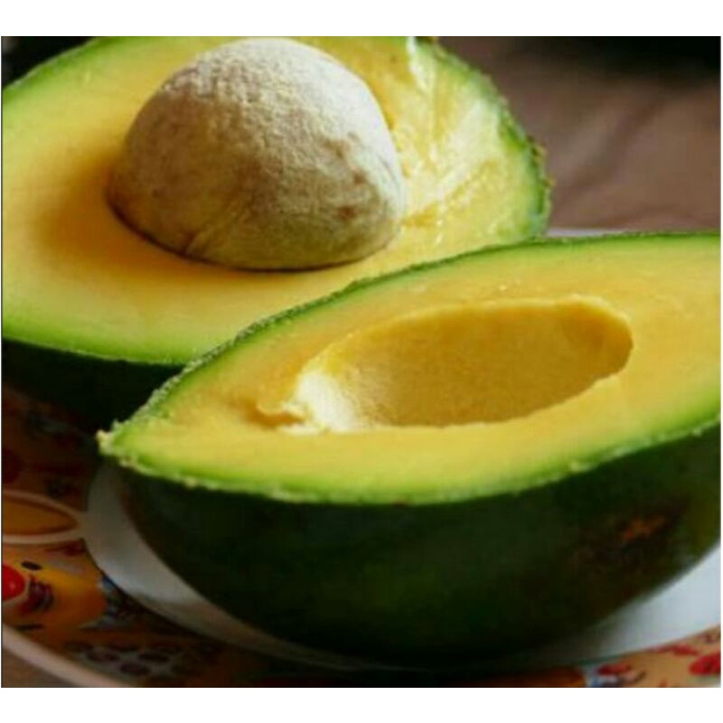 

Buah alpukat mentega paket 5 kg