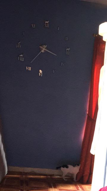 Jam Dinding Besar Diy Giant Wall Clock Quartz Creative Design Model Kucing Lucu - Diy-203