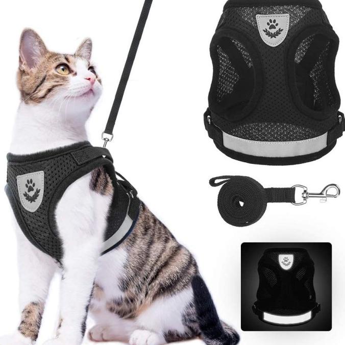Buruan beli] Tali Tuntun Kucing Anjing Kecil Murah Pet Leash Harness Small Dog Cat
