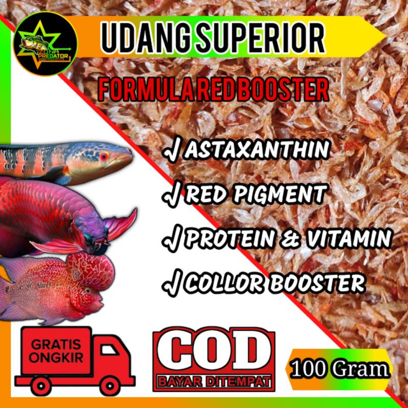 Udang red booster Superior Pakan channa 100 Gram