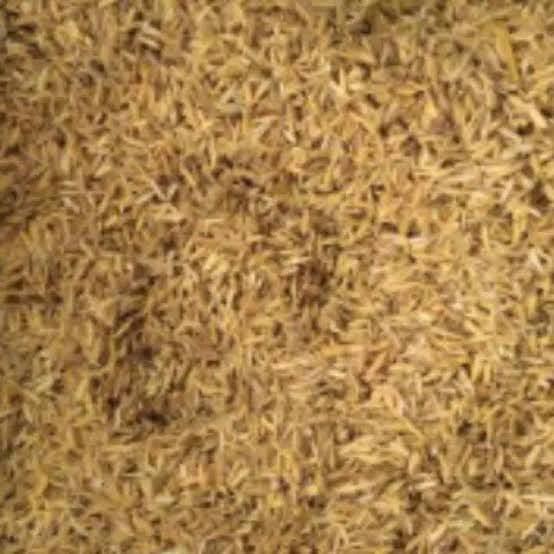 media tanam sekam mentah/sekam padi karungan