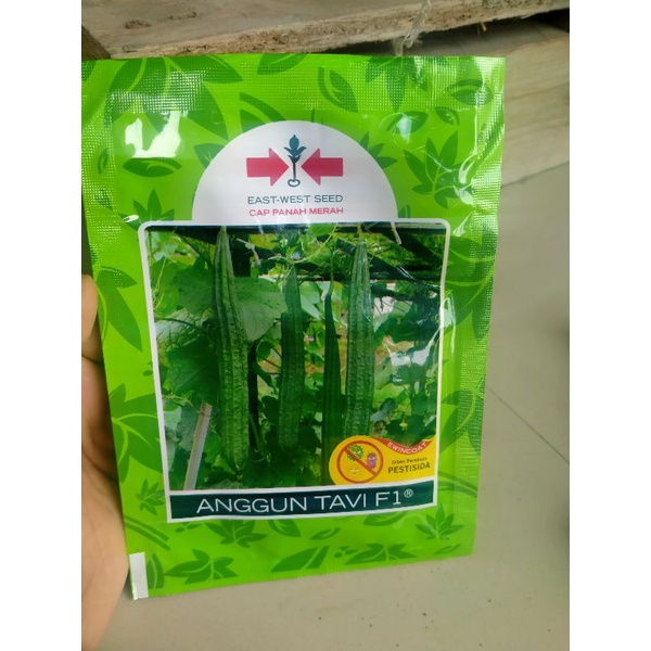 Bibit benih oyong/gambas  Anggun TAVI F1 isi75 butir.