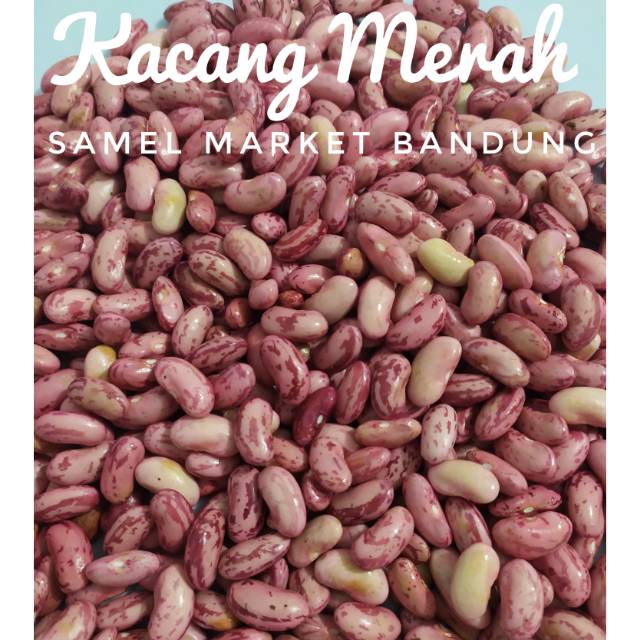 

Kacang Merah 500 gr