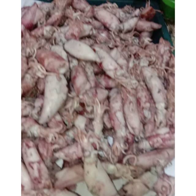 

Sontong Asin/cumi asin