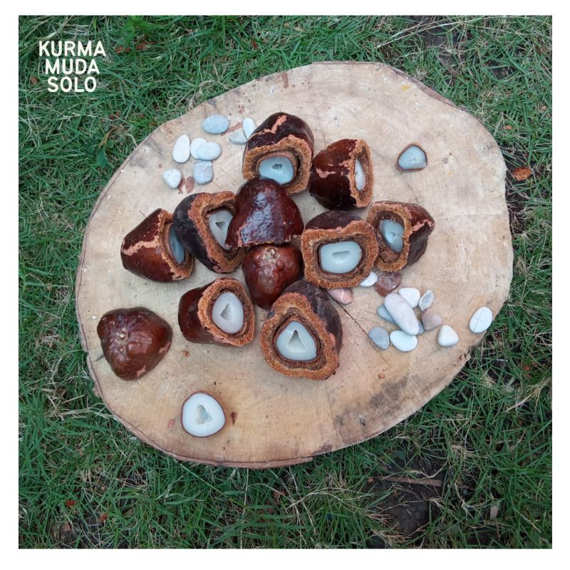 

ZURIAT MADINAH Belah PROMIL 250 GRAM