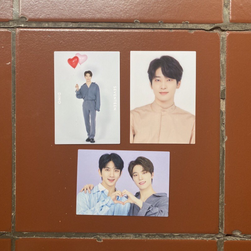 SEVENTEEN Dome Tour TC Wonwoo Joshua Dino