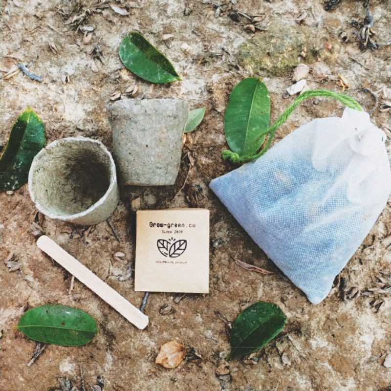 Gardening Starter Kit