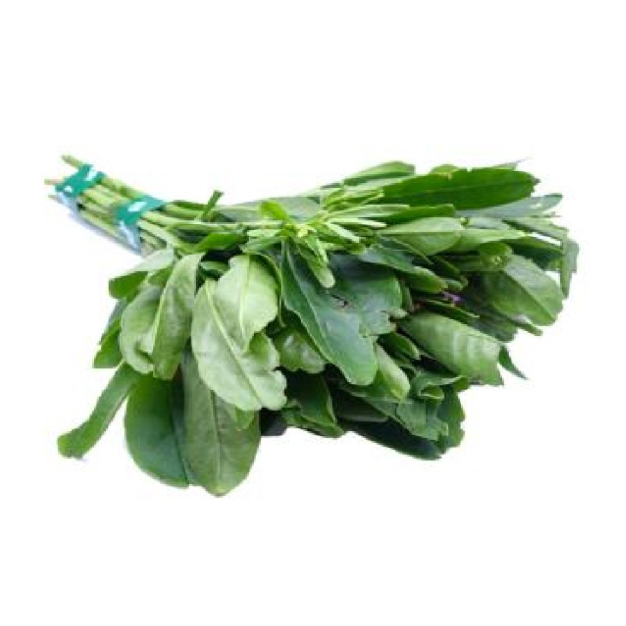 Daun Ginseng 500 Gr