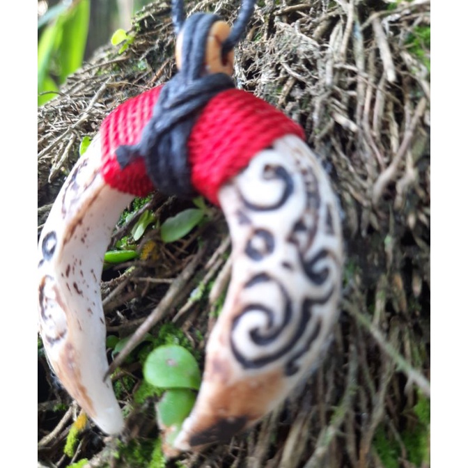 KALUNG TARING MACAN SEPASANG UKIR || KALUNG TARING BABI ||