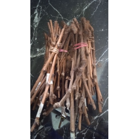 Cutting anggur import termurah