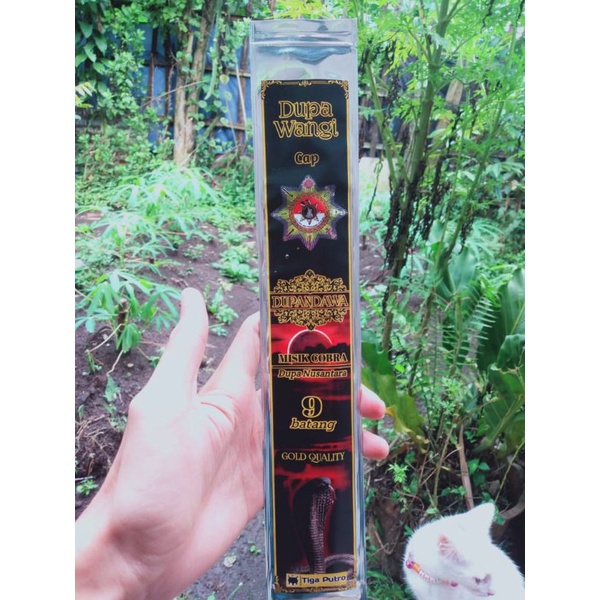 Dupa harum Misik Cobra