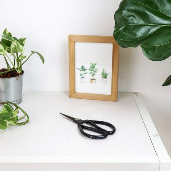 gunting ranting pohon