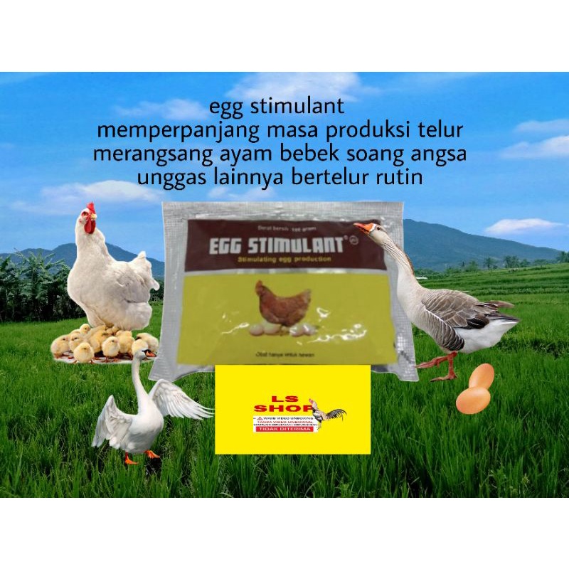 EGG STIMULANT 100 GRAM OBAT VITAMIN AYAM BURUNG BEBEK BERTELUR RUTIN PERPANJANG MASA PRODUKSI TELUR LEBIH PANJANG ASLI ORI MEDION