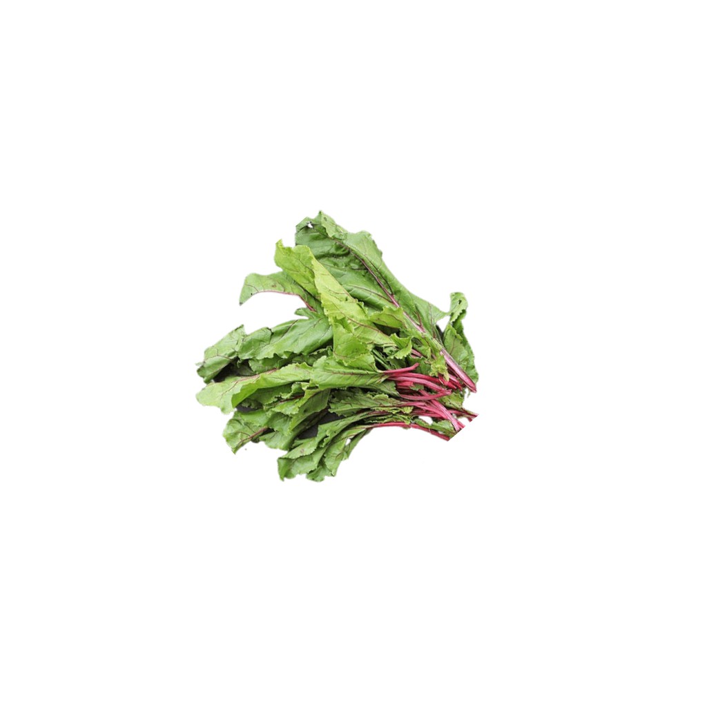 

SAYUR ORGANIK Daun Bit