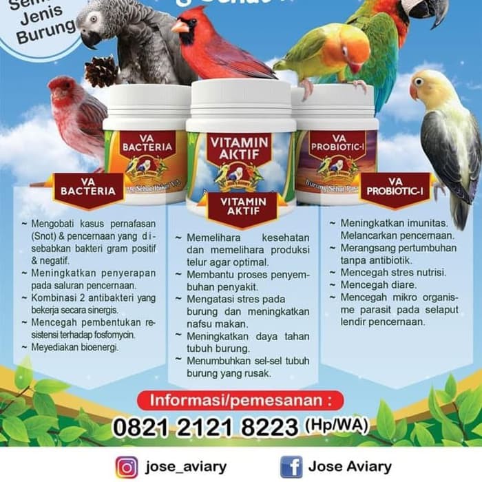 Vitamin Burung Va Bacteria Vb2808 Shopee Indonesia