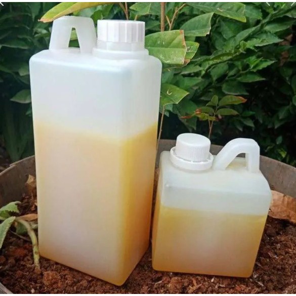 

Madu Kaliandra Murni 100% (Uji Lab). netto 1000 gr