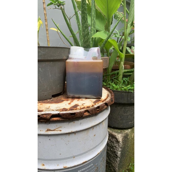 

Madu hitam manis gamat propolis isi bersih 500g