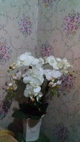 Bunga Anggrek Kupu Kupu Artificial 1 Piece Pernikahan Dekorasi Rumah Bunga Kain Palsu Shopee Indonesia