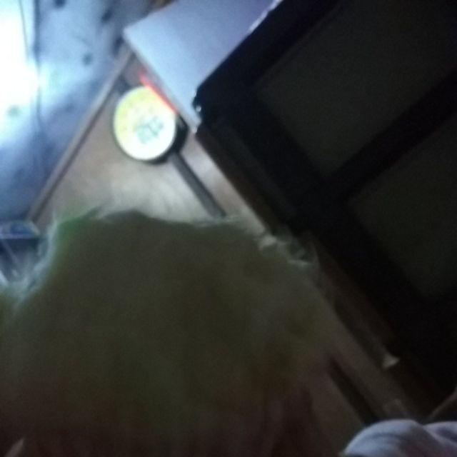 Thinwall 1000ml (5pcs) Box Microwaveable / Box Brownies / Wadah / Toples / Tempat Makanan Plastik