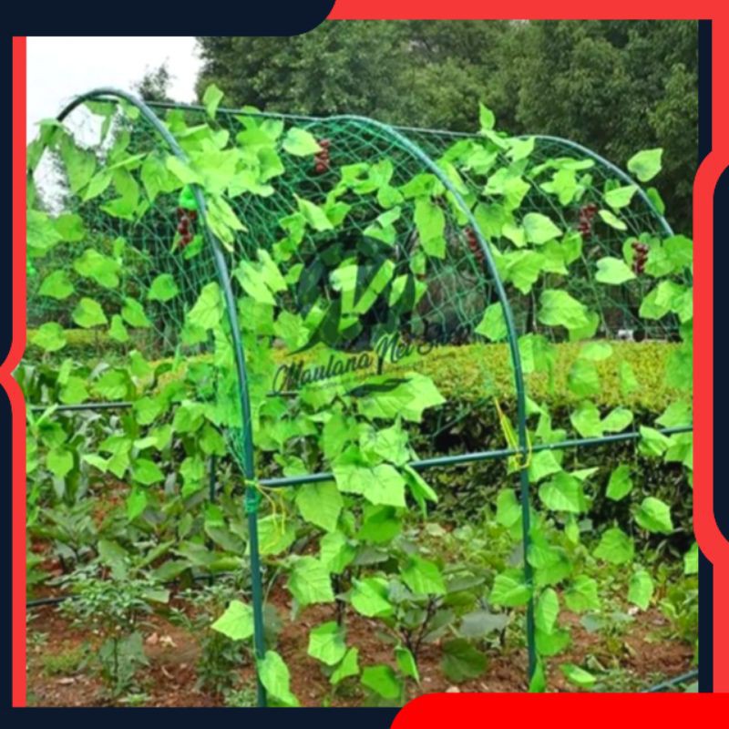 Jivara56 Jaring Tanaman Rambat/Jaring Tanaman Buah/Jaring Tanaman Anggur/Sayuran/Tali Frame