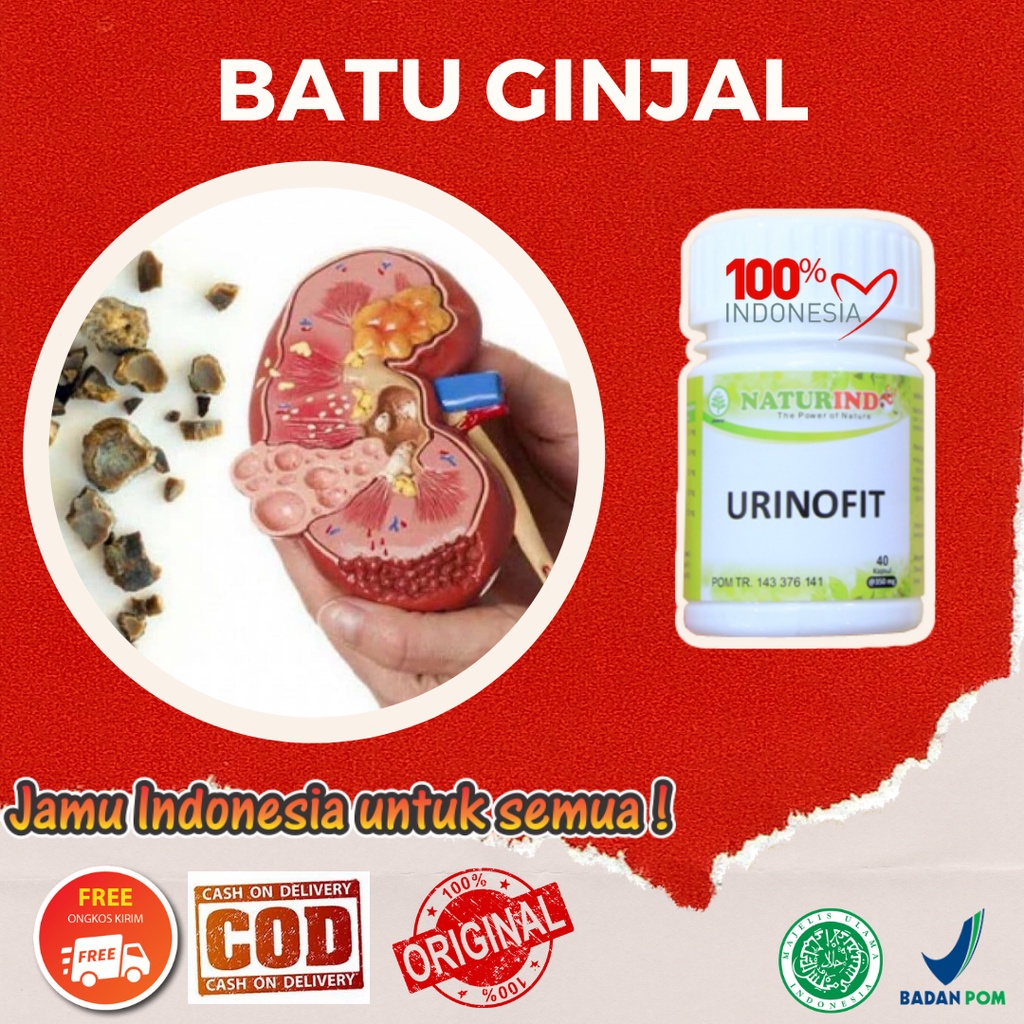 Jual Obat Penghancur Batu Ginjal Obat Batu Ginjal Kencing Batu Dan ...