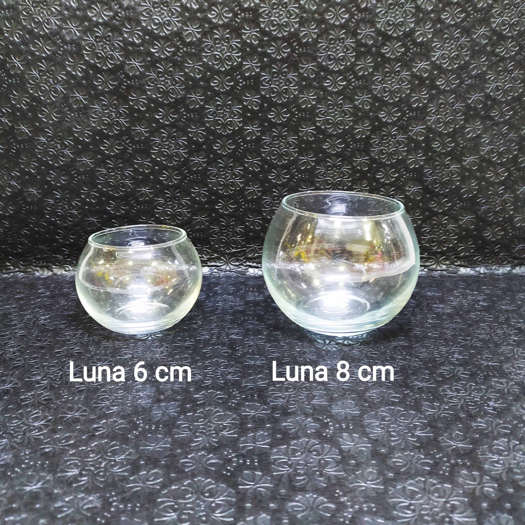 Pot Luna 8 cm Vas Kaca Terrarium Bulat Pajangan Hiasan