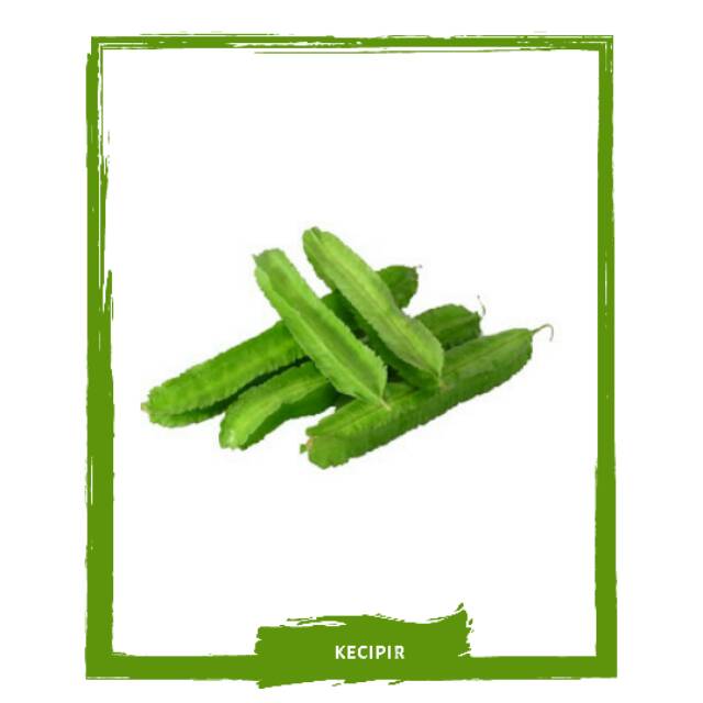 

Kecipir / Sayur Sayuran Segar On Mallahrizwa