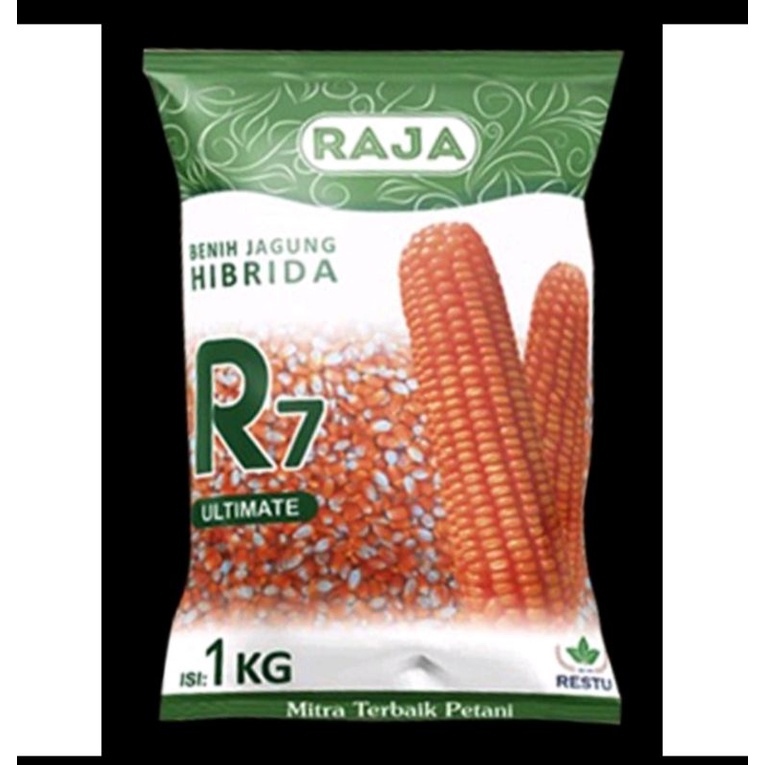 Benih Jagung Hibrida R7 Ultimate