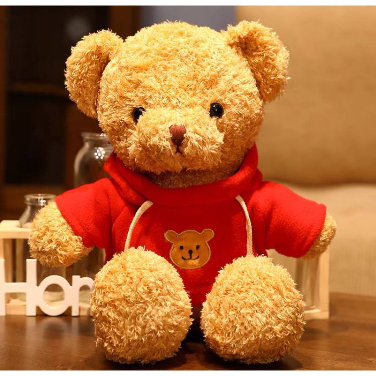 BONEKA BROWN TEDDY BEAR BERUANG FLUFFY PREMIUM