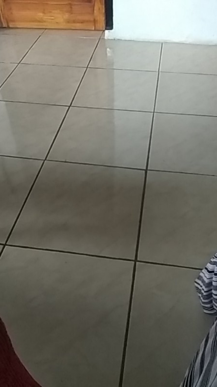 Mika Plastik Bening Kue Puding Makanan Nasi Mmpg Ukuran  3xc Isi 100 Pcs