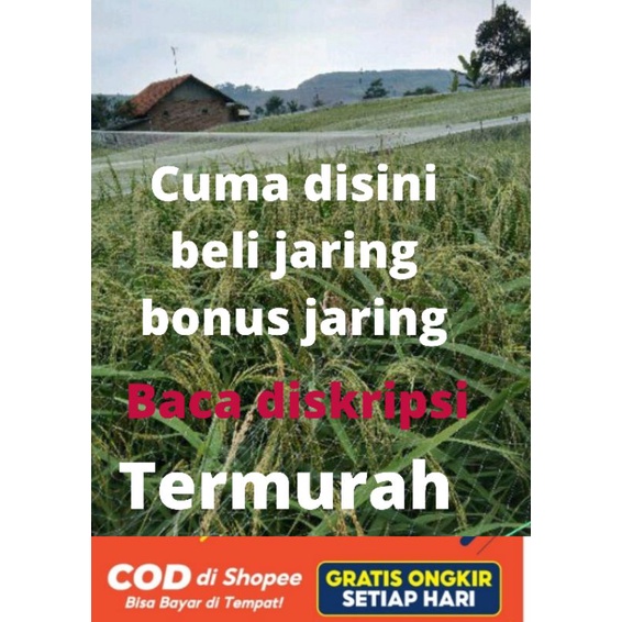 Jaring burung sawah jaring burung emprit Jaring burung pipit jaring padi jaring burung perkutut Jari